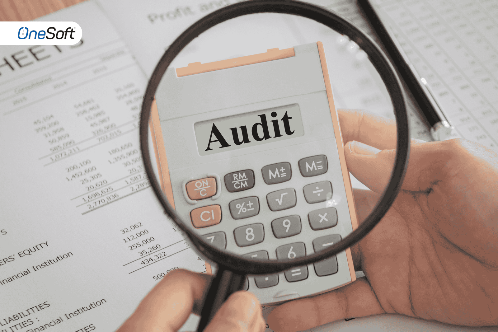 Financial & Business Auditing